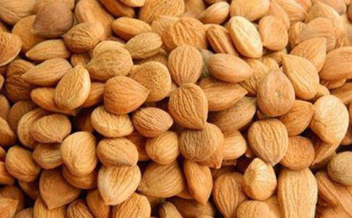 苦杏仁行情深度解析，背景、事件與地位探究