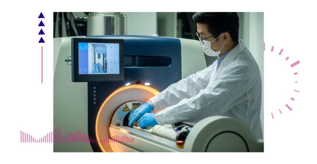 香港脊髓研究取得新進(jìn)展，探索自然美景的心靈之旅新篇章