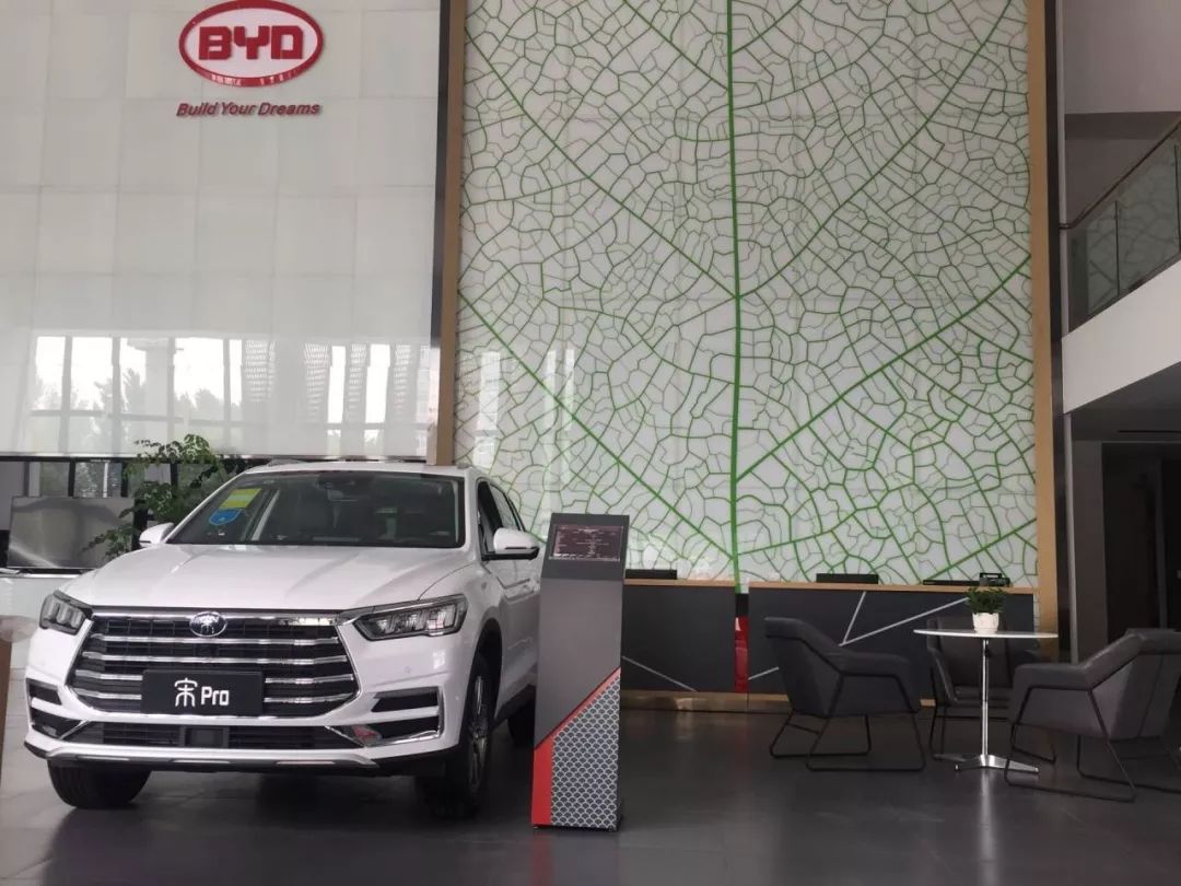 重磅更新，比亞迪最新招聘信息揭秘???