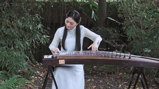 抖音最新琵琶演奏，古典與現(xiàn)代的完美融合之美