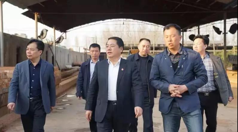 商丘王仲田最新動(dòng)態(tài)，探索自然美景的旅行，尋求內(nèi)心平和之旅