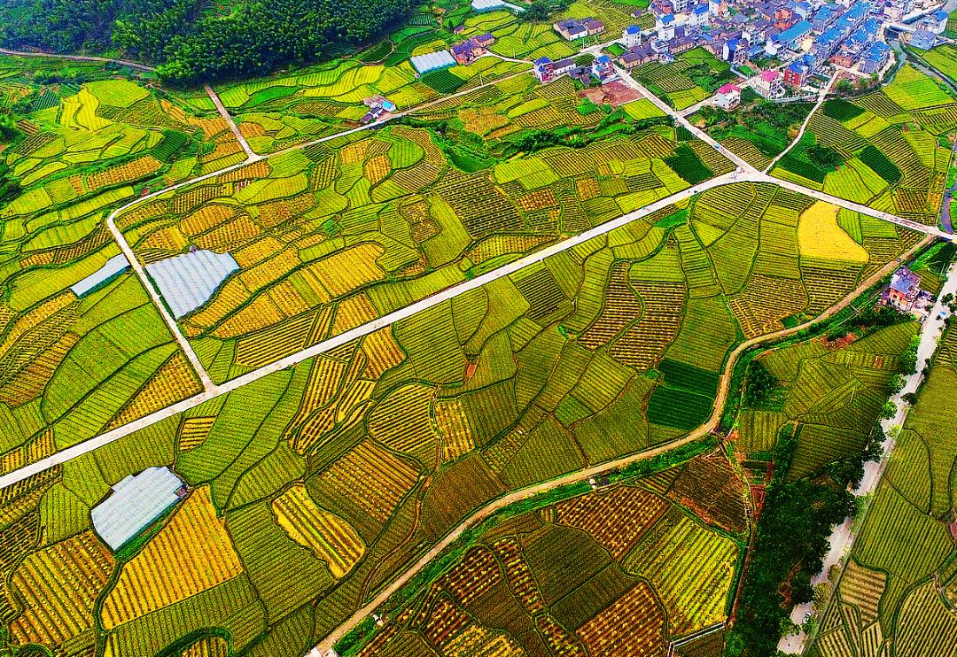 金竹最新規(guī)劃發(fā)布，開(kāi)啟學(xué)習(xí)新篇章，培養(yǎng)自信與成就感的源泉