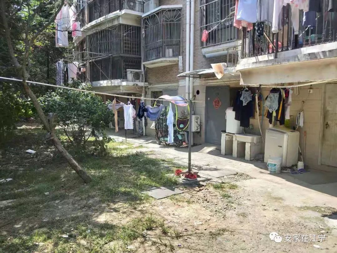 最新大雜亂時代，混沌與秩序的重建之路