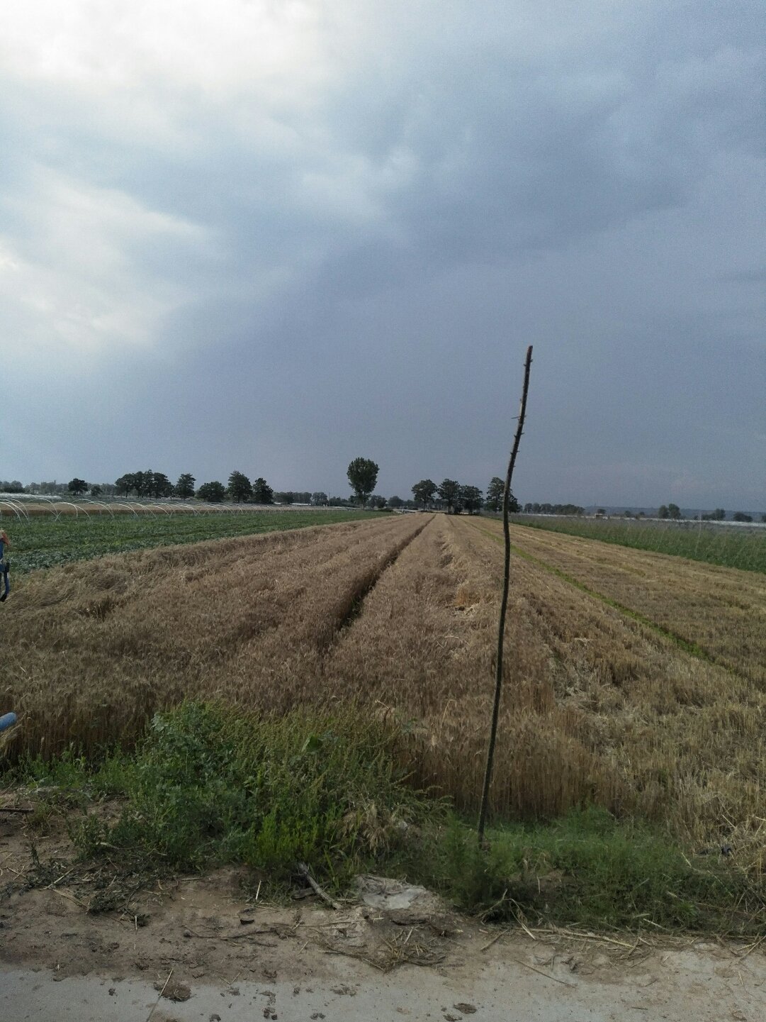 蒲城天氣預(yù)報，暖陽下的友情時光