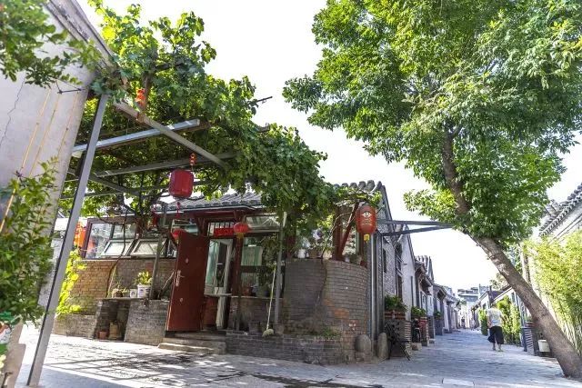 草社區(qū)美食探險之旅，探尋小巷中的隱藏寶藏與最新地址揭秘