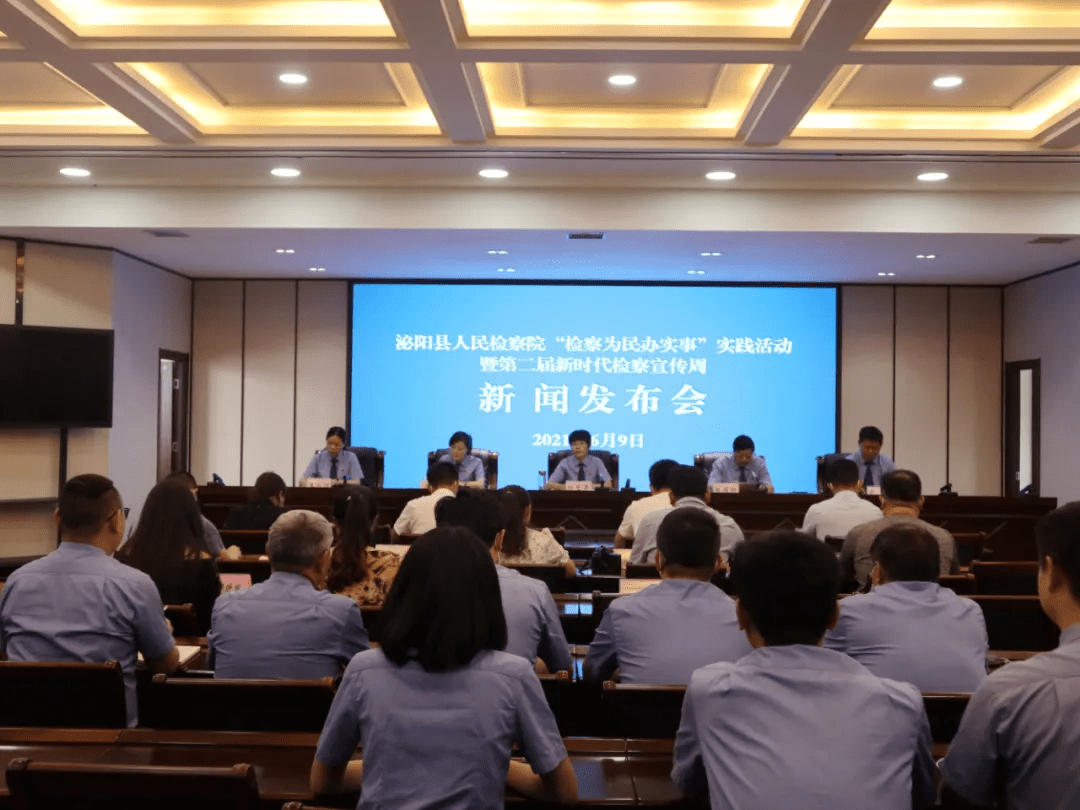 泌陽新聞最新動態(tài)，多元視角下的觀察與思考