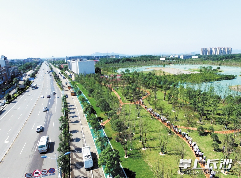 長沙黃橋大道崛起，夢想啟航之路最新動態(tài)