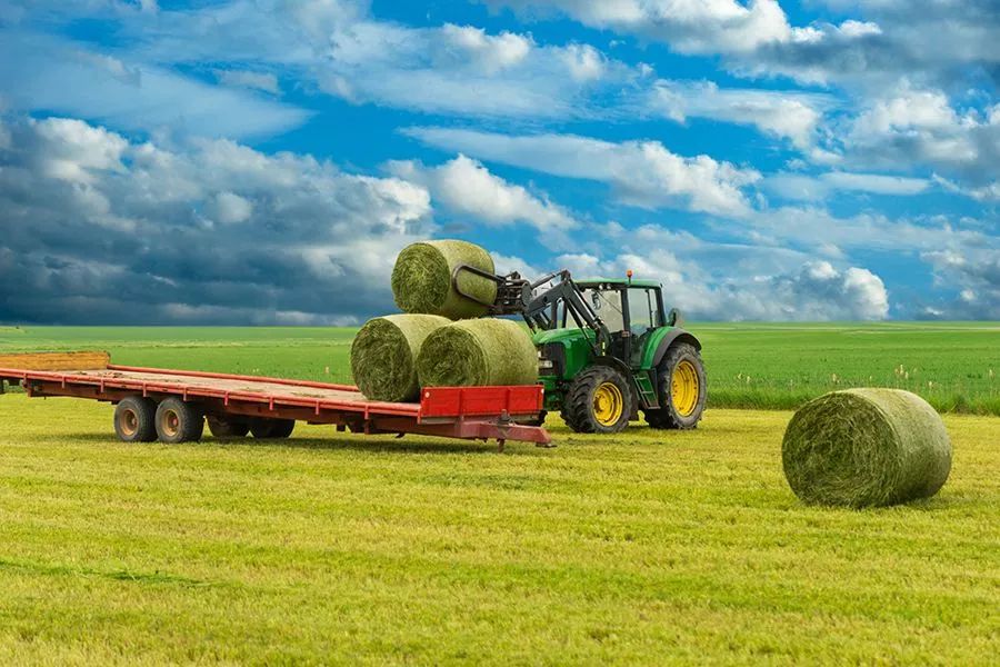 農(nóng)業(yè)最新動(dòng)態(tài)，時(shí)代的脈搏與綠色希望共舞