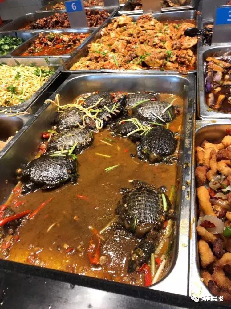 探索食堂美食新潮流，最新食堂菜一覽