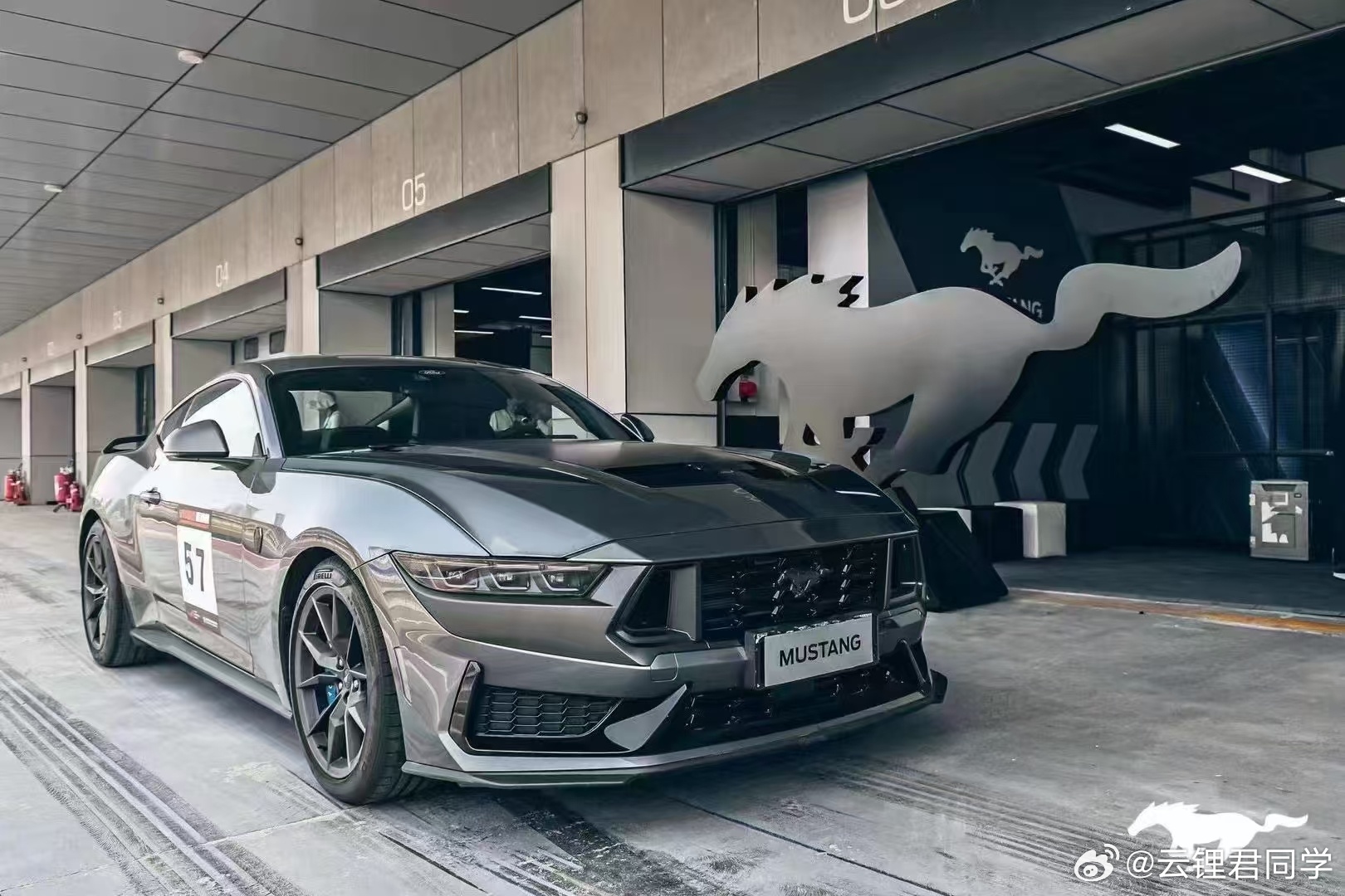 野馬擼最新動(dòng)態(tài)，駕馭變化，自信成就夢(mèng)想之旅