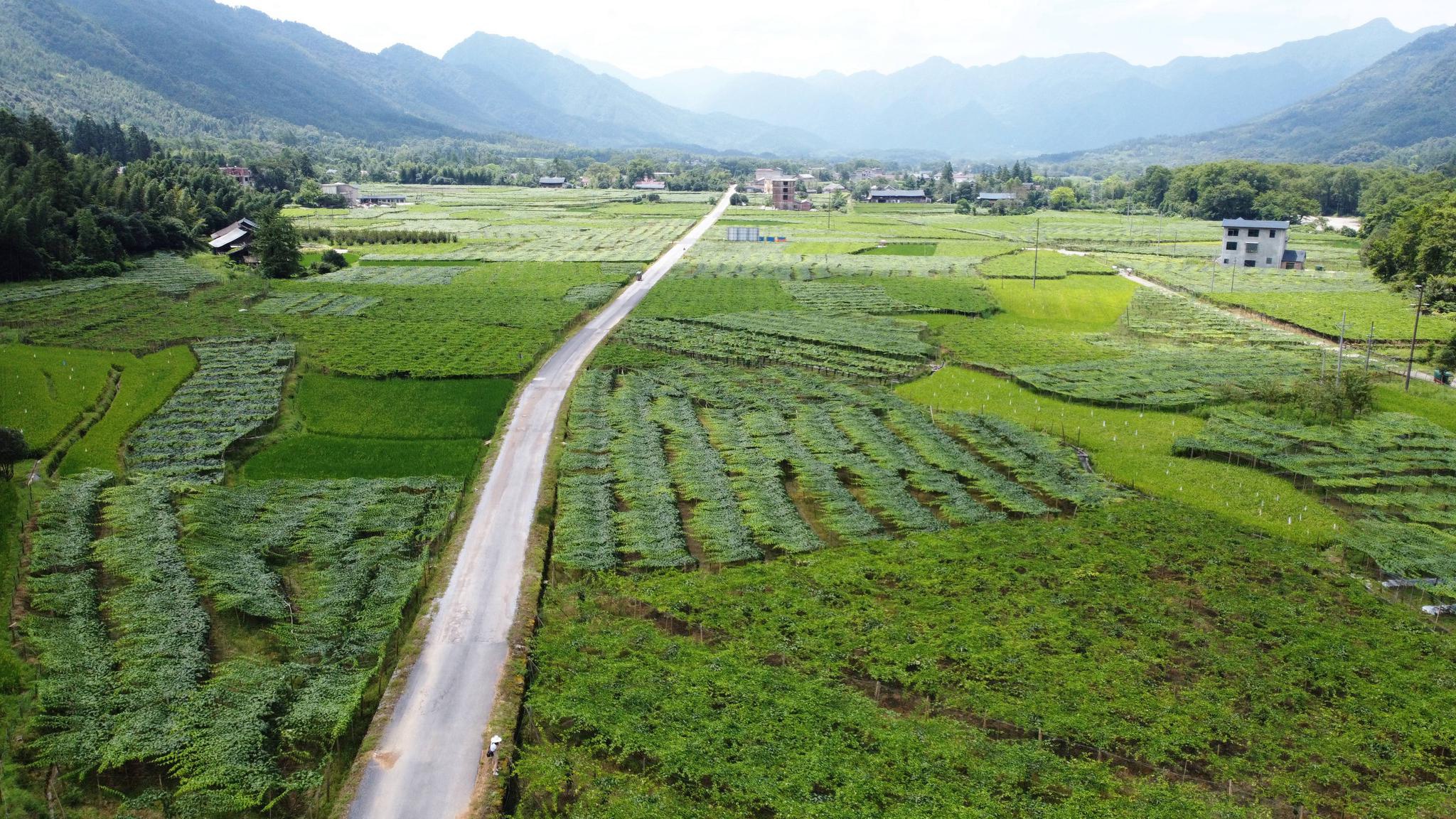 新文村，時(shí)代變遷下的文化繁榮與發(fā)展新篇章