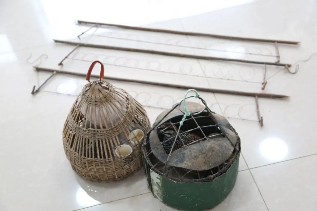 小巷中的神秘寶藏揭秘，最新捕鳥(niǎo)工具揭秘