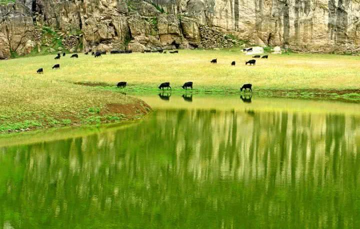 青草最新在線視頻，自然與科技融合之美展現(xiàn)的力量