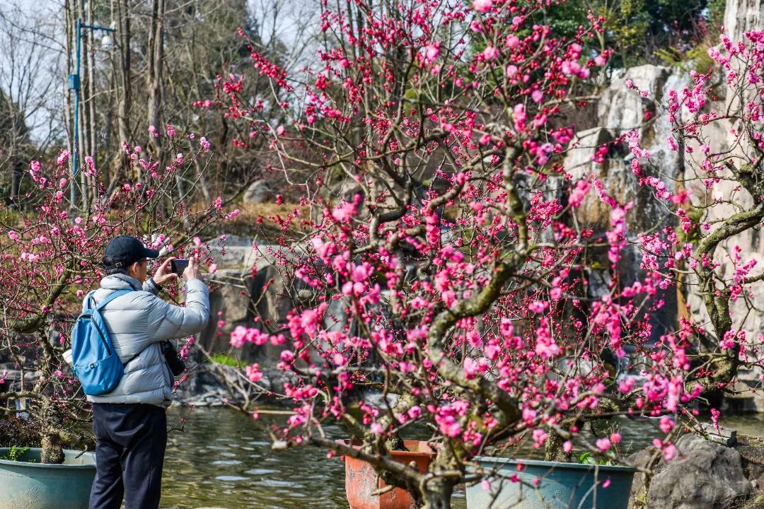 秀麗東方最新動(dòng)態(tài)，啟程探索自然之美，尋找內(nèi)心寧?kù)o之旅