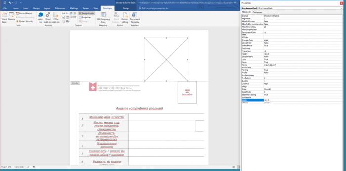 Flash Player官方最新版下載，探索小巷寶藏與特色小店的奇妙之旅