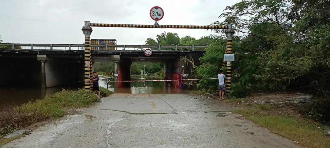 惠陽臺風最新消息，小巷深處的風味秘境
