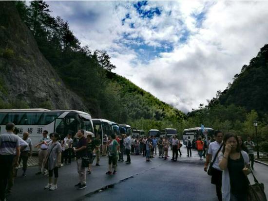 泰順高鐵最新動態(tài)更新，最新消息一覽