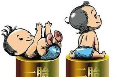 最新雙胞胎補助政策，攜手同行，助力孕育夢想之路