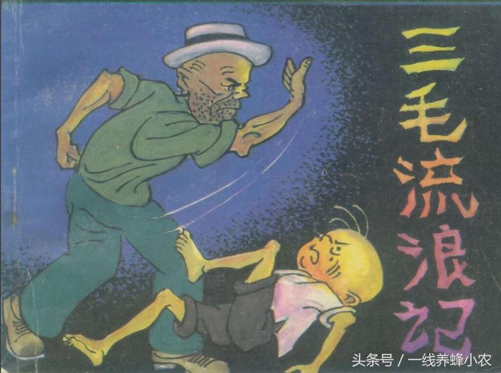 上海三毛最新動態(tài)，自然美景探索之旅啟幕