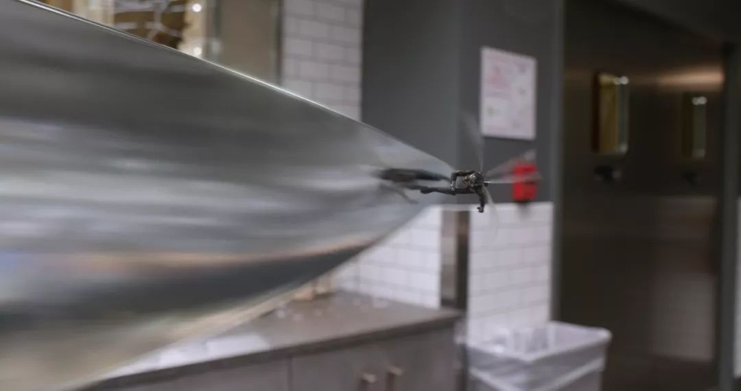 最新電泳技術(shù)，一路向前，學(xué)習(xí)成就自信之源