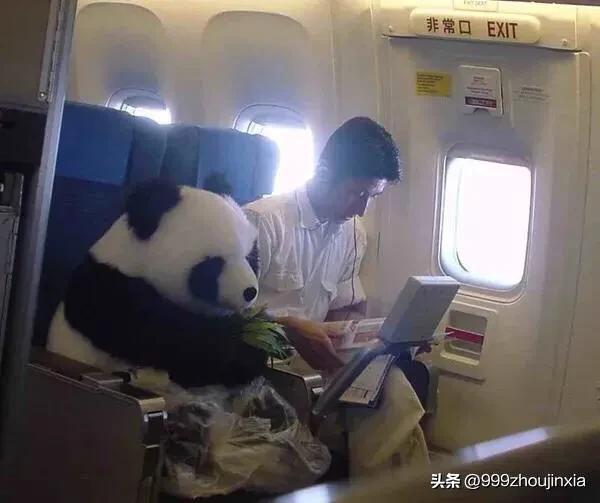 追逐變化之翼，學(xué)習(xí)鑄就自信與成就——虛幻最新探討