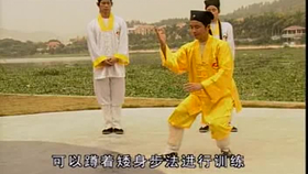 太極最新音樂，傳統(tǒng)與現(xiàn)代的完美融合藝術(shù)展現(xiàn)