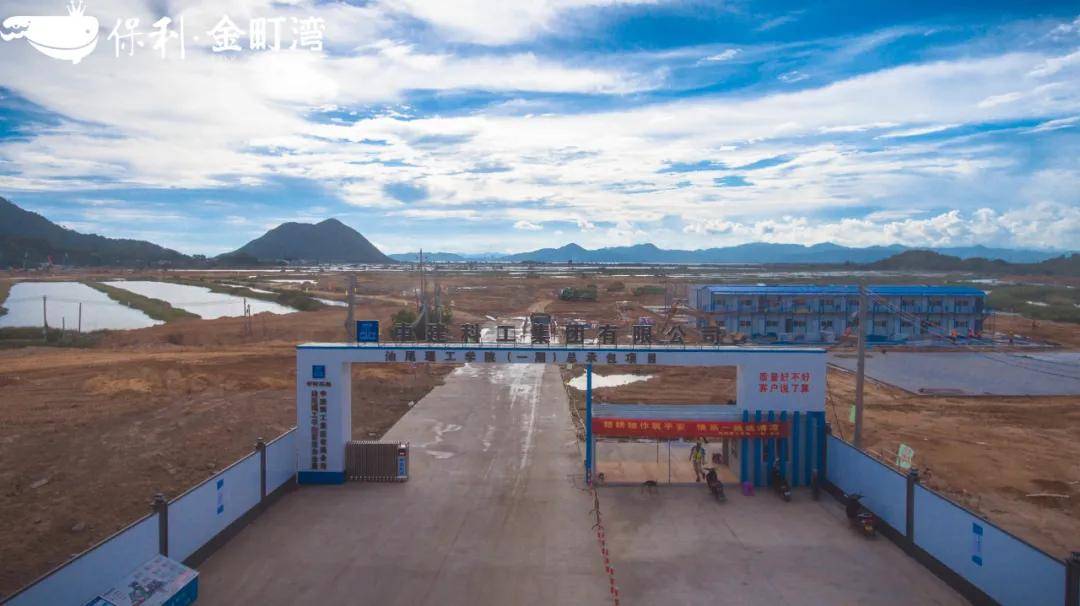 汕尾最新大項目揭秘，小巷深處的獨特風味