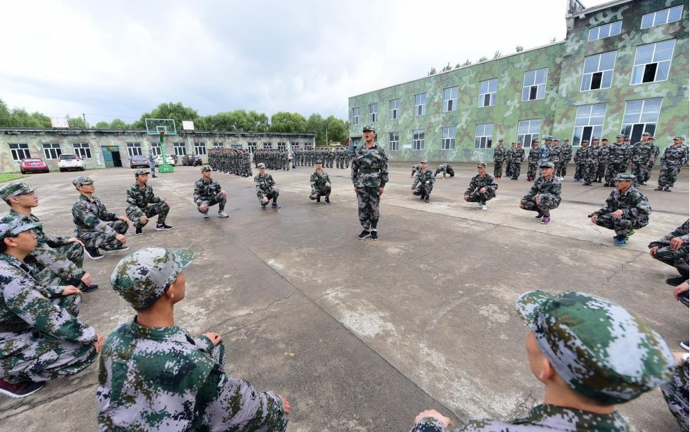 遼寧人才網(wǎng)最新招聘，時代脈搏與人才匯聚的交匯點(diǎn)