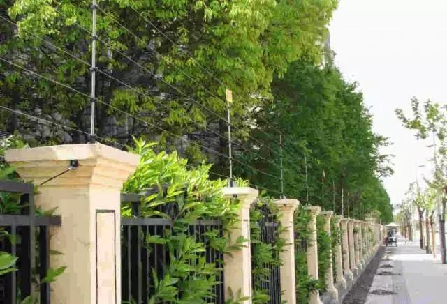 山河藥輔最新動態(tài)，引領(lǐng)醫(yī)藥行業(yè)新篇章