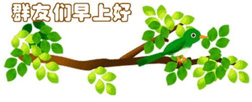 最新清晨祝福短信，晨曦中的溫暖問候，傳遞美好祝愿與關懷