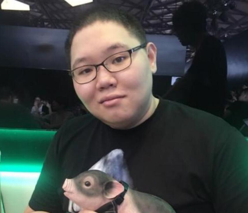 PDD最新直播視頻，直播界的璀璨明星閃耀時(shí)刻