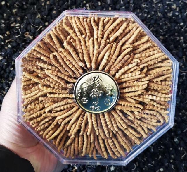 謝干最新價格及知識價值展現(xiàn)自信閃耀的魅力