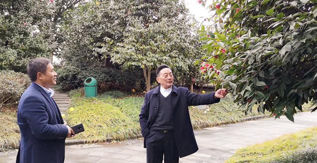 最新花木求購，開啟一場尋綠之旅的溫馨旅程