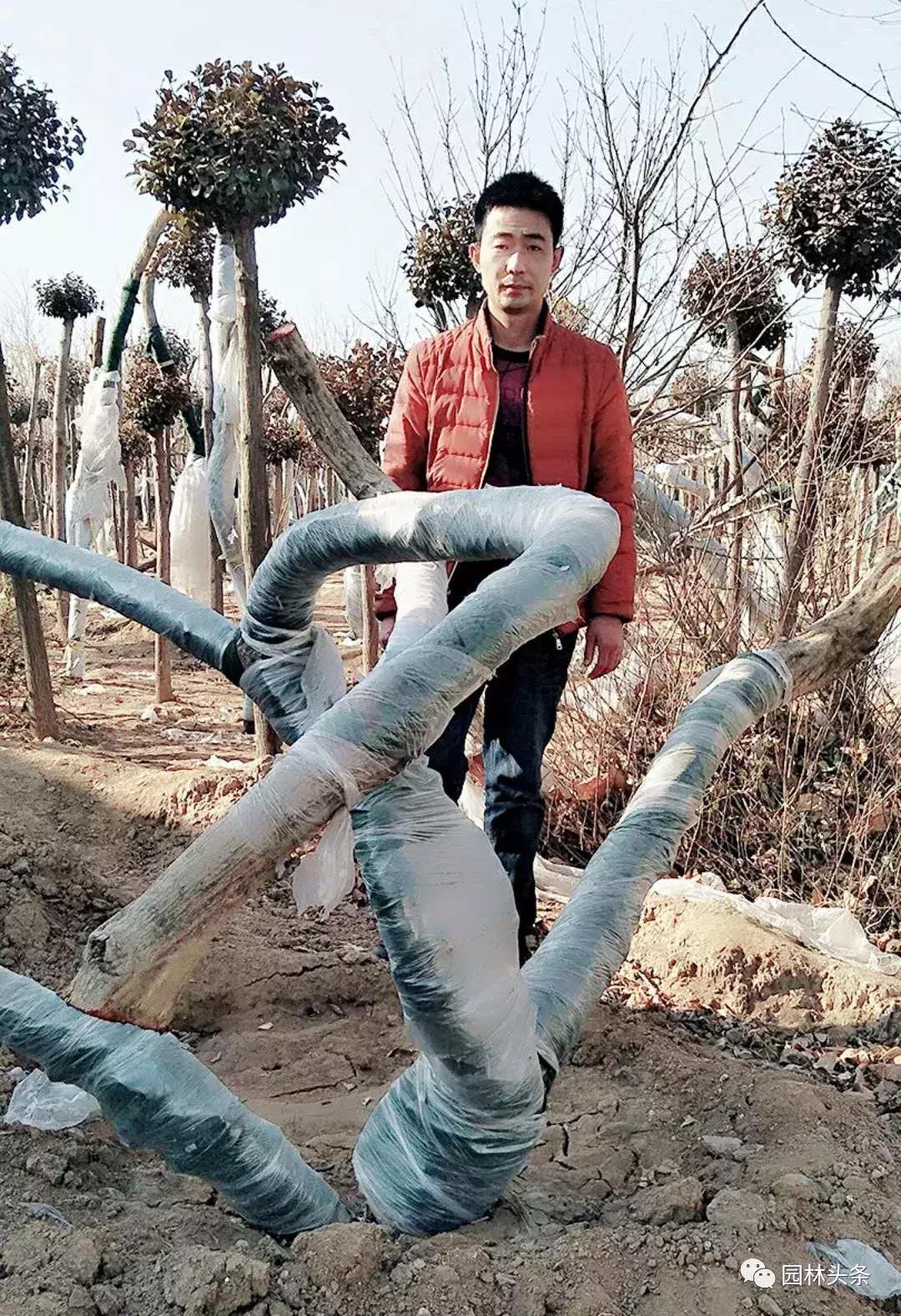 定州最新急招工，時(shí)代的呼喚與行業(yè)重塑的挑戰(zhàn)