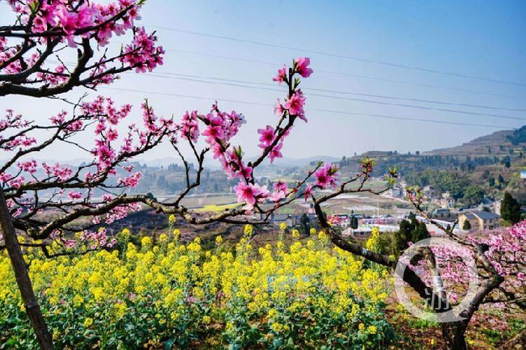 合川最新科技新聞，高科技產品引領未來生活潮流