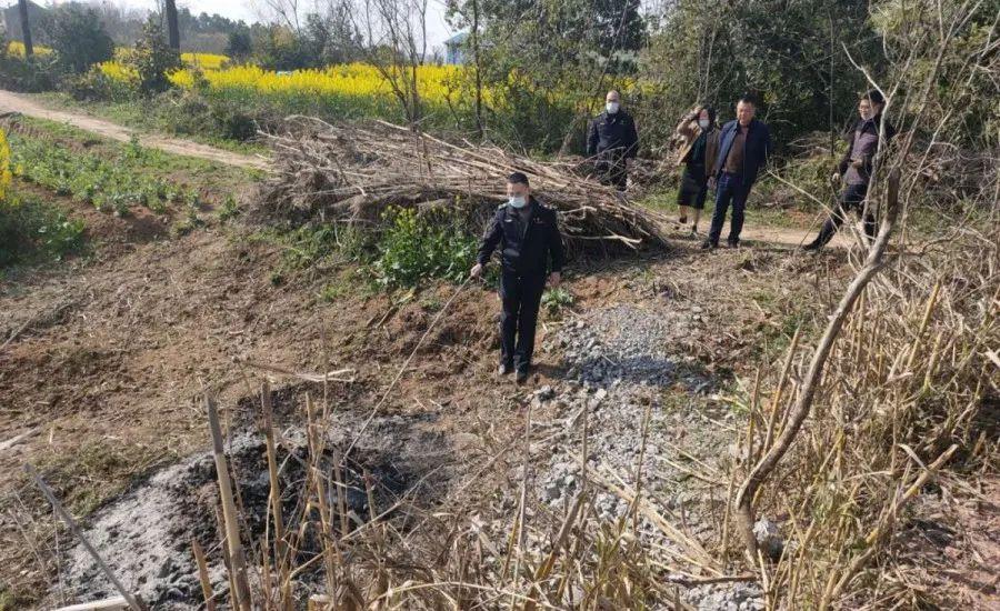 溧陽最新天氣，氣象變遷與地域影響探究