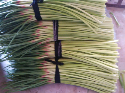 運(yùn)動(dòng)場(chǎng)館燈具 第101頁(yè)