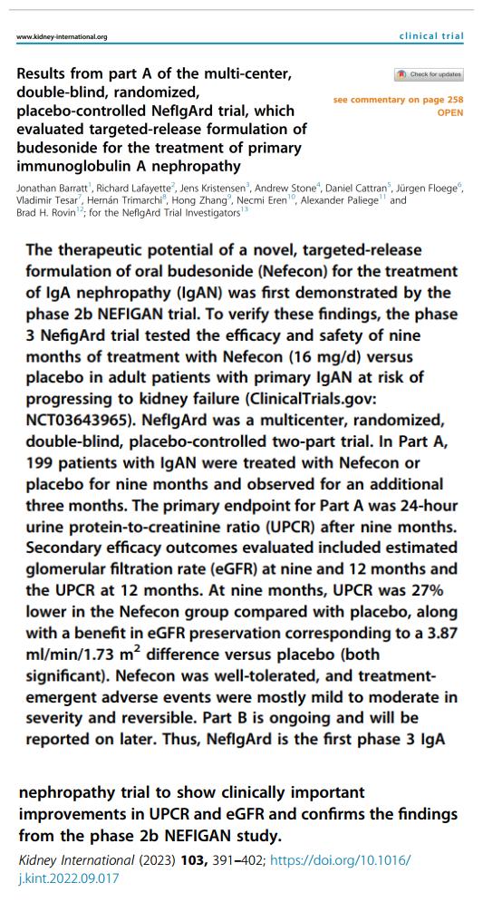 IGA腎病最新突破，醫(yī)學奇跡在小店中綻放的獨特魅力