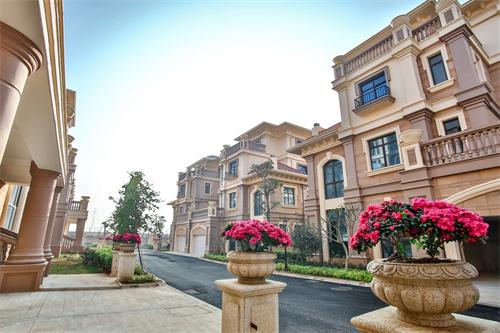 新泰最新樓盤，城市發(fā)展與居住品質(zhì)的新篇章