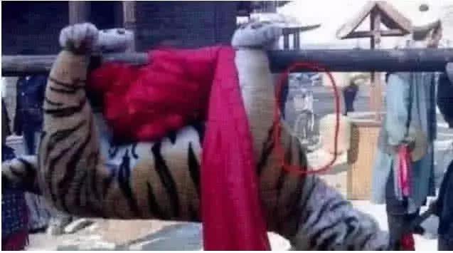 最新打虎消息，探尋內心平靜的打虎之旅