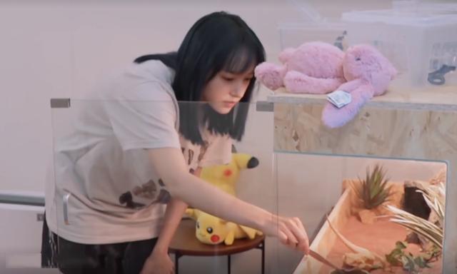 程瀟最新綜藝節(jié)目，心動瞬間，不容錯過！?