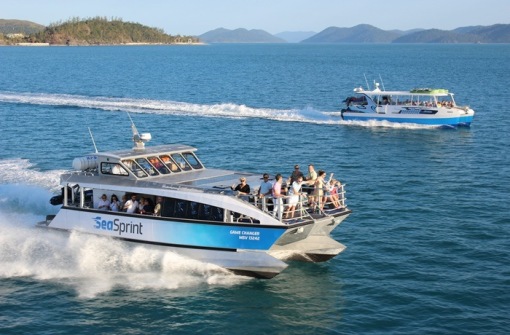 時代背景下的璀璨星辰，最新號號天堂綜述