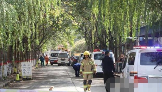 安陽最新事件，溫馨日常與不期而遇的友情之旅