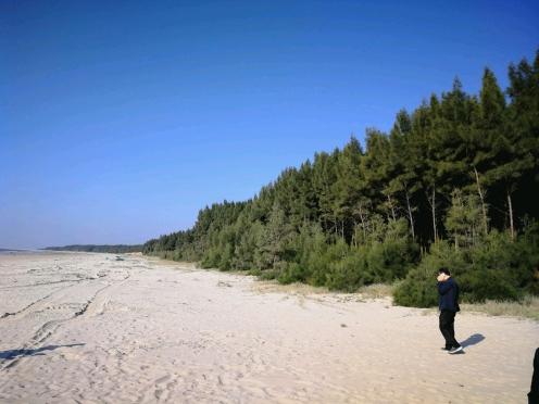 揭秘2025最新臺風路線，提前預警，保障安全無憂