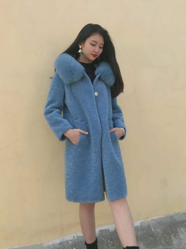 三七花最新價格揭秘，溫馨小故事中的尋找之旅