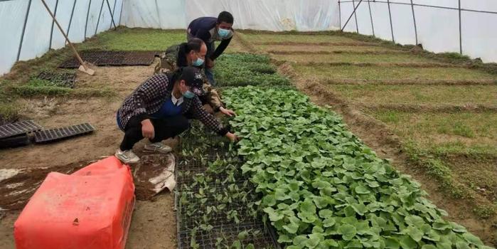 策勒最新招聘啟航人才新篇章，學(xué)習(xí)變化，擁抱自信與成就，啟程人生新征程！