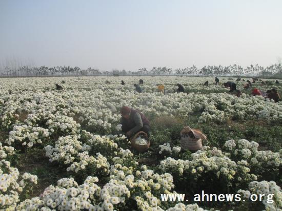界首最新新聞，學習變革的力量，自信與成就感的融合之路