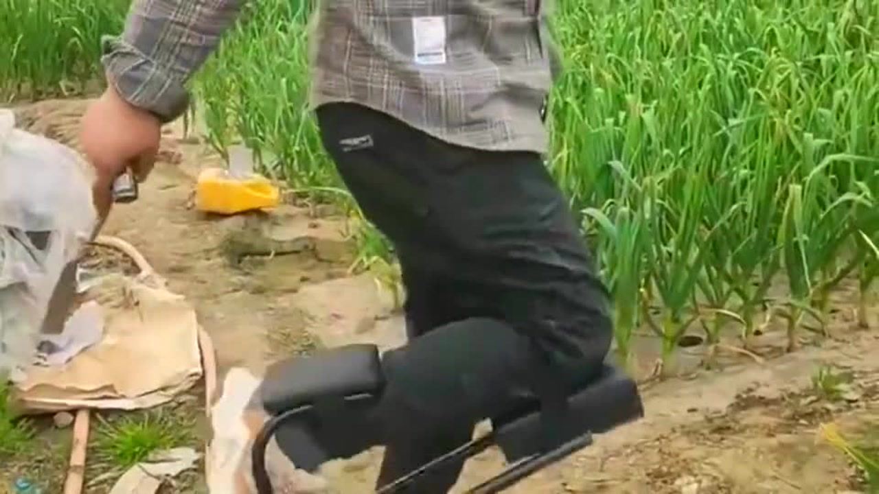 最新挖蒜工具，心靈與自然的完美交融