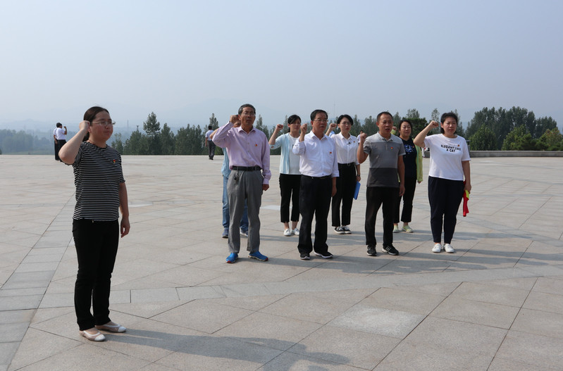 肥城房產(chǎn)最新動態(tài)，市場走勢、熱門區(qū)域與案例分析