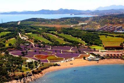 心悅海島探險(xiǎn)攻略，最新任務(wù)指南與探險(xiǎn)體驗(yàn)